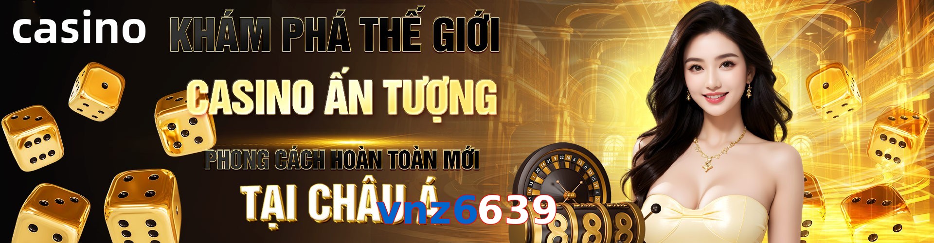 vnz6639